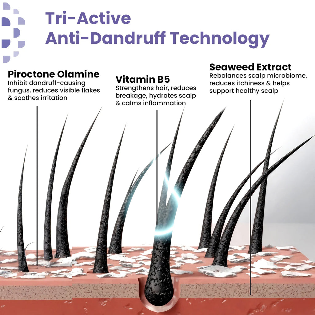 Anti Dandruff Shampoo | Clarifying & Hydrating Hair Shampoo 200 ml