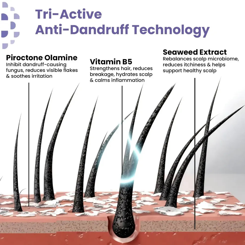 Anti Dandruff Shampoo | Clarifying & Hydrating Hair Shampoo 200 ml